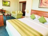 Double Executive Room with Creek view