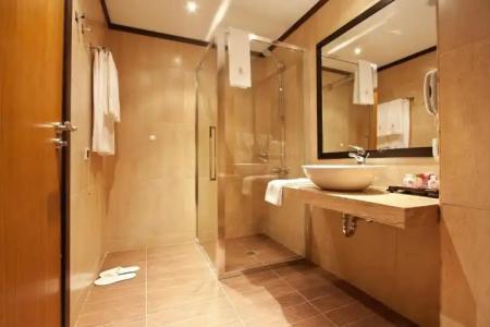 Best Western Plus Bristol - 97