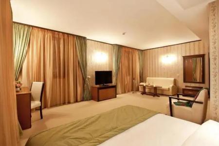 Best Western Plus Bristol - 103