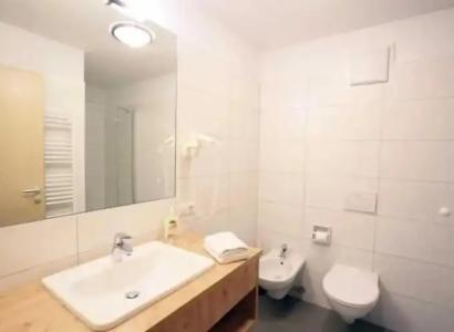 Pension Pichlerhof - 83