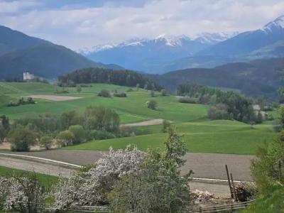 Pension Pichlerhof - 66