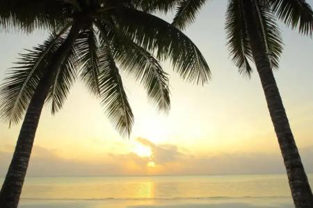 Sultan Sands Island Resort - 39