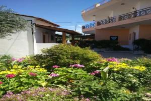 Kalypso studio Resorts, Kavos