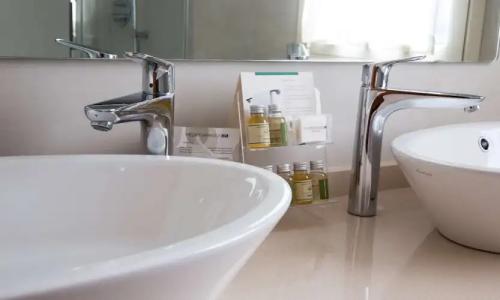 Best Western Anthurium - 59