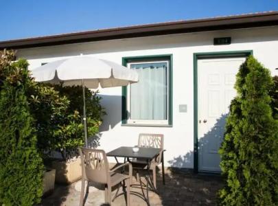 Best Western Anthurium - 75