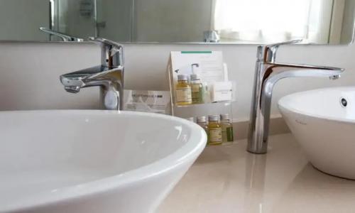 Best Western Anthurium - 70