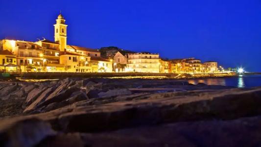 Best Western Anthurium - 0