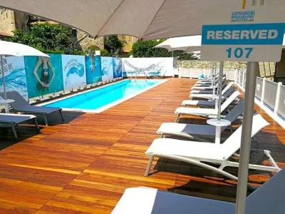 Best Western Anthurium - 55