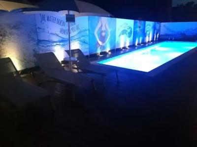 Best Western Anthurium - 17