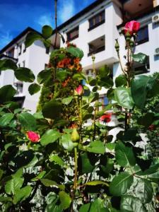 Apart Harmony Hills Residence - 38