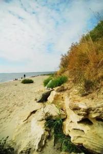 Marina Cape Vacation Complex - 17