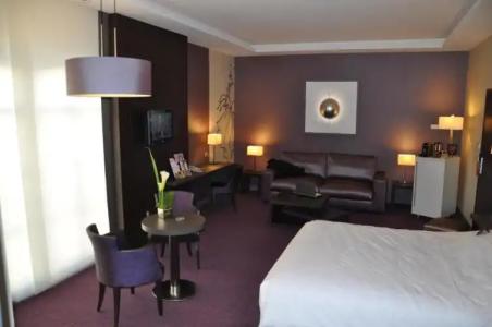 Mercure Troyes Centre - 47