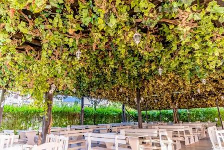 Izola Paradise - All Inclusive - 27