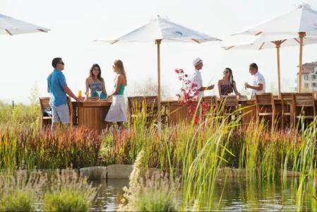 Sunrise All Suites Resort- All Inclusive - 22