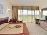 Standard Double room with park view