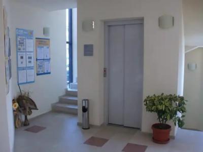 Family Evridika - 15