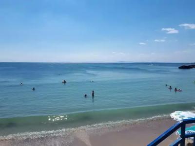 Family Evridika - 26