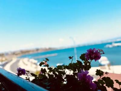 Family Saint Nikola - 59