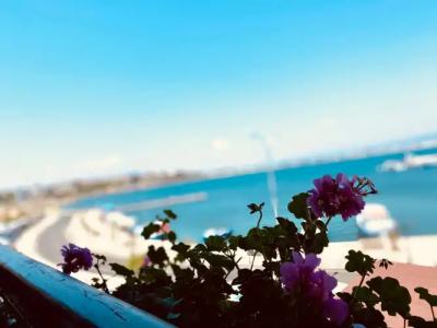 Family Saint Nikola - 25