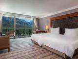 Standard Double room mountain view
