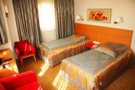 Almina - Special Class - 49