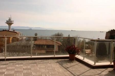 Almina - Special Class - 18