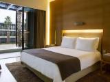 Deluxe Double room with pool view