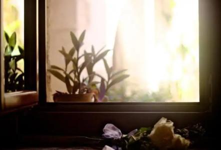 Casa Dei Delfini - 113