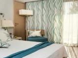 Deluxe Double room with pool view