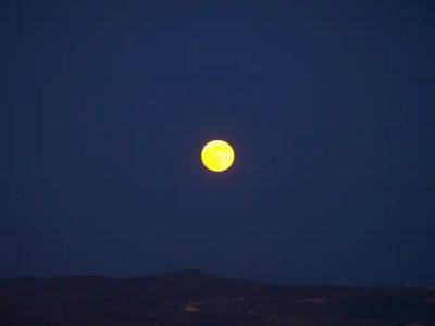 Vira Vivere Houses - 20