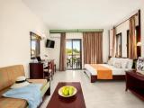 Triple Studio with garden view