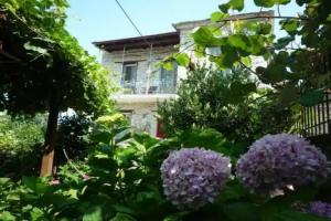 Arhontiko Prepala, Afissos