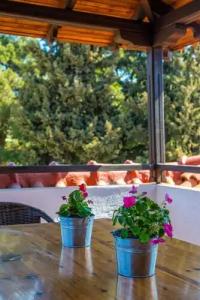 Georgalas Sun Beach Resort - 202