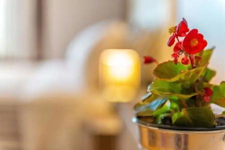 Georgalas Sun Beach Resort - 14