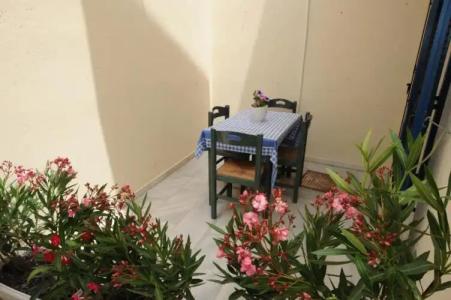 TERRA FOS NAXOS STUDIOS - 68