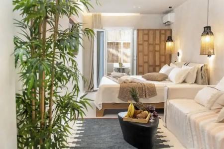 TERRA FOS NAXOS STUDIOS - 56