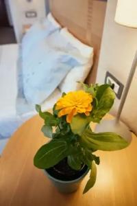 Alexandros Boutique - 196