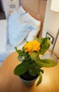 Alexandros Boutique - 151