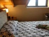 Economy Suite