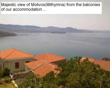 The Schoolmistress With The Golden Eyes, studios & rooms - 7