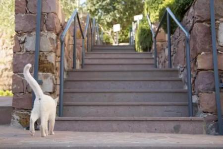 Sunrise Resort - 146