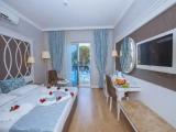 Standard Double room with balcony and with view