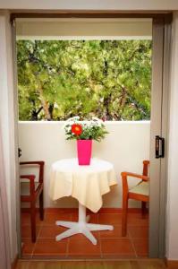 Triton Boutique - 28