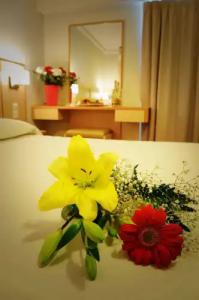 Triton Boutique - 29