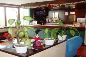 Park Hotel Muggia, Muggia