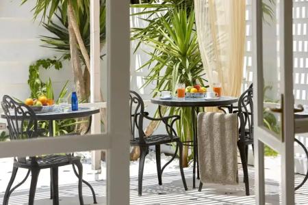 Vasia Boulevard (Adults Only) - 12