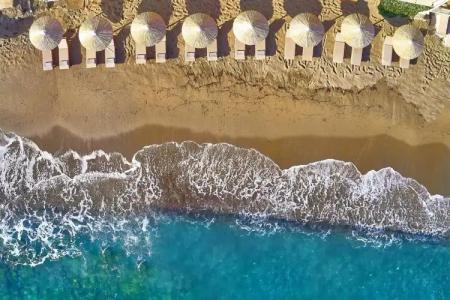 Vasia Boulevard (Adults Only) - 15