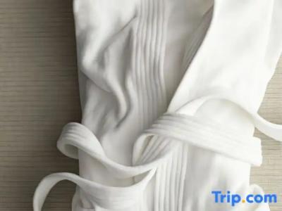 Sheraton Brooklyn New York - 64