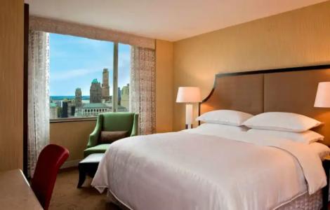 Sheraton Brooklyn New York - 6