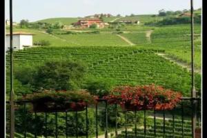 Agriturismo Cascina Sciulun, Monforte d'Alba
